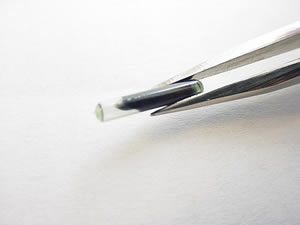 AVID Microchip AVID Microchip